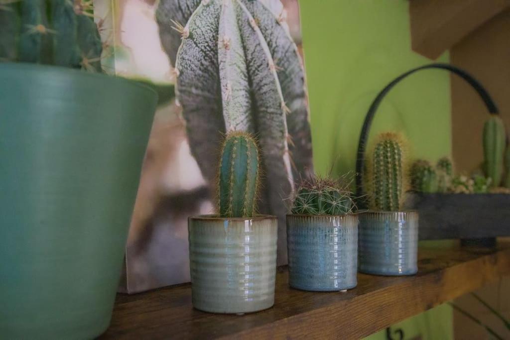 Coin De Nature En Centre-Ville 特鲁瓦 外观 照片