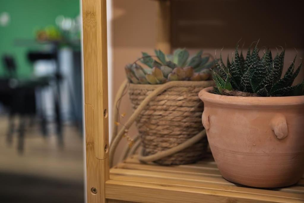 Coin De Nature En Centre-Ville 特鲁瓦 外观 照片
